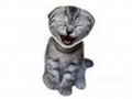 Laughing Cat para jugar online