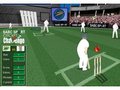 Cricket para jugar online