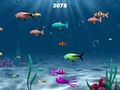 Franky The Fish para jugar online