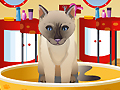 Petz Fashion para jugar online