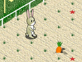 Animal 4 Steps para jugar online