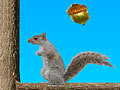 Acorn Toss para jugar online