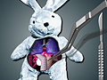 Save The Bunny para jugar online