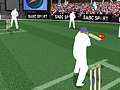 Cricket para jugar online