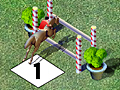 Horse Show Jumping para jugar online