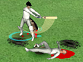 Just Not Cricket para jugar online