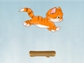 Kitty Jump para jugar online