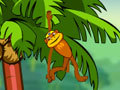 Spider Monkey para jugar online