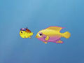 Growing Fish para jugar online