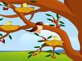 Bird Feeding para jugar online