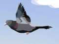 Funny Bird para jugar online