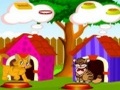 Cuidar sus gatos dulces para jugar online