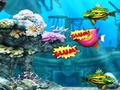 Big Fish Eat Fish Small para jugar online