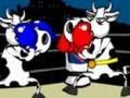 Cow Fighter para jugar online