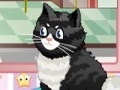 Cat Salon para jugar online