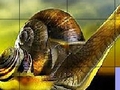 Llittle caracol para jugar online