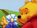 Winnie Pooh el Objeto Oculto para jugar online