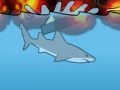 Miami Shark para jugar online