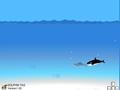 Dolphin Caza para jugar online