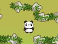 Panda de Quest para jugar online