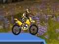 Hillblazer FMX para jugar online