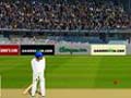 Acelerado de cricket para jugar online