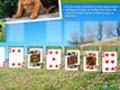 Animal Planet Solitario para jugar online