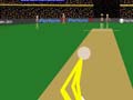 Cann Cricket para jugar online