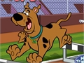 Scooby Doo - Steeplechase para jugar online